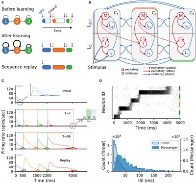 Toward reproducible models of sequence learning: replication and analysis of a modular spiking network with reward-based learning